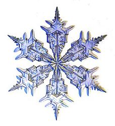 Snowflake_300h